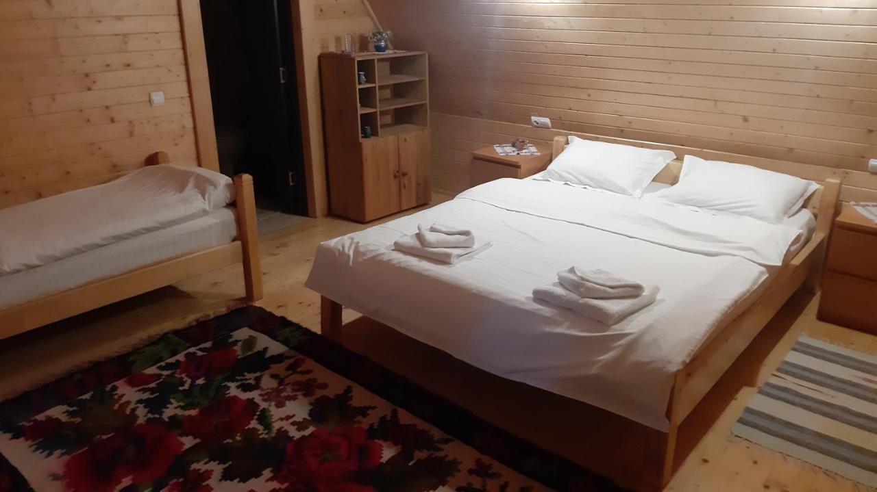 Pensiunea Casa Buga Viseu de Sus Bagian luar foto